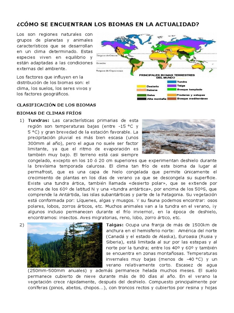 Clasificación y Distribución de Biomas | PDF | Selva | Desierto