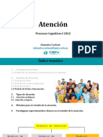 Modelos de atención y redes atencionales