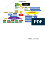 Mapa Conceptual Planos Anatomicos