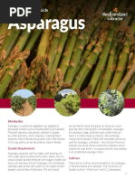 FFA Crop Guide Asparagus PDF