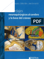 Abordajes Neuroquirúrgicos Al Cerebro y La Base Del Cráneo Álvaro