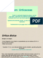 Farmasötik Botanik 9 PDF