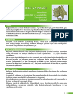 Sinameki PDF