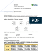 Guía Acumulativa Grupaln° 3 - Mitosis