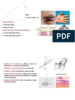 Clasificación de Las Suturas