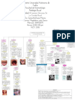 Bloque 4 Lesiones Infecciosas