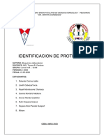 Identificasion de Proteinas (Bioquimica 1-2023)