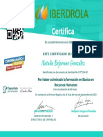 Certificado Iberdrola