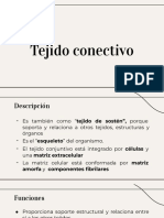 Tejido Conectivo PDF