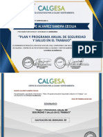 Plan y Programa Anual de Seguridad y Salud en El Trabajo