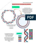 Replicación de Un Plásmido Bacteriano Con Secuencia de Nucleótidos