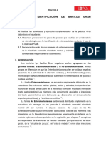 Práctica 4 PDF