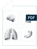 Recortables 5 Básico PDF
