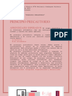 Principio Precautorio - Act. 5