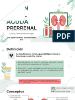 Lesión Renal Aguda Prerrenal PDF