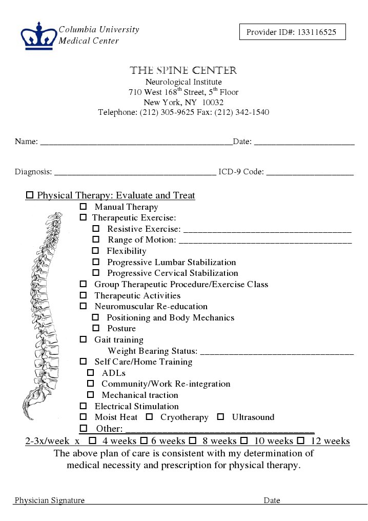 Physical Therapy Prescription PT | PDF | Business