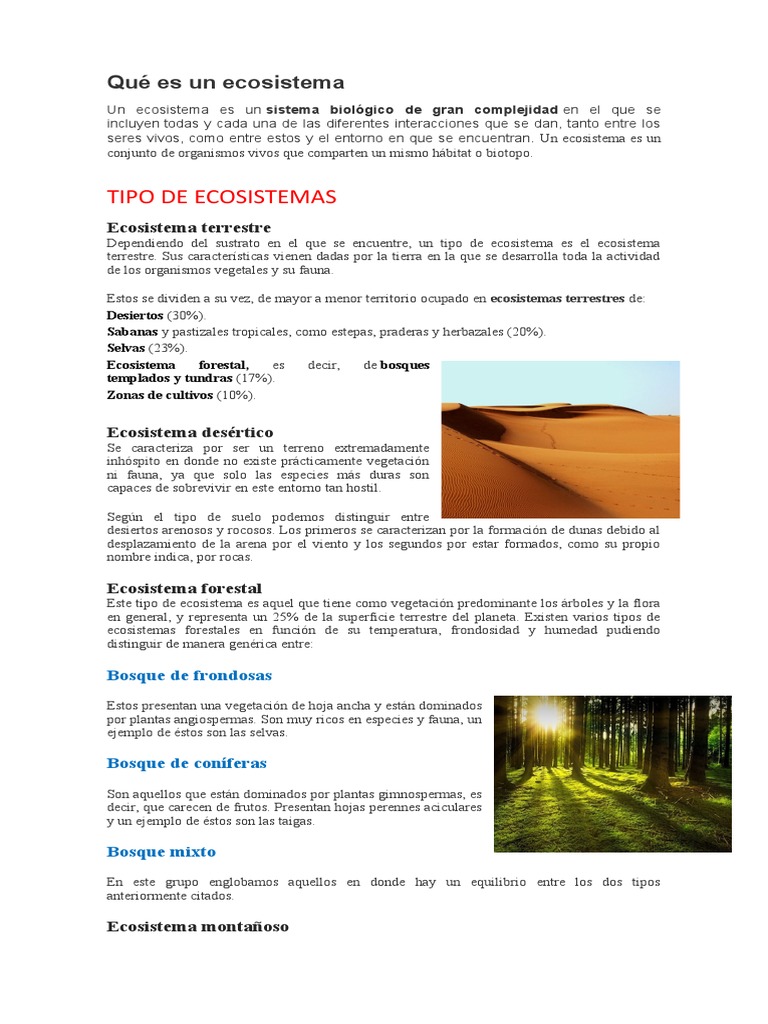Tipos de Ecosistemas y Características | PDF | Ecosistema | Suelo