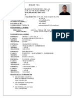 Marioadalbertoanchundiavillao 2 PDF