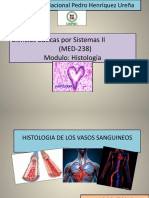 Histología de Los Vasos Sanguíneos - E