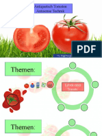 Antiquetsch Tomaten - Antisense Technik