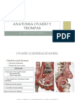 Anatomia Ovario y Trompa