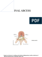 Spinal Abcess