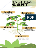 Parts of The Plants