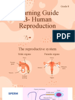 Biology-Grade 8-Human Reproductiton-2