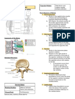Spine Rehab102lec PDF