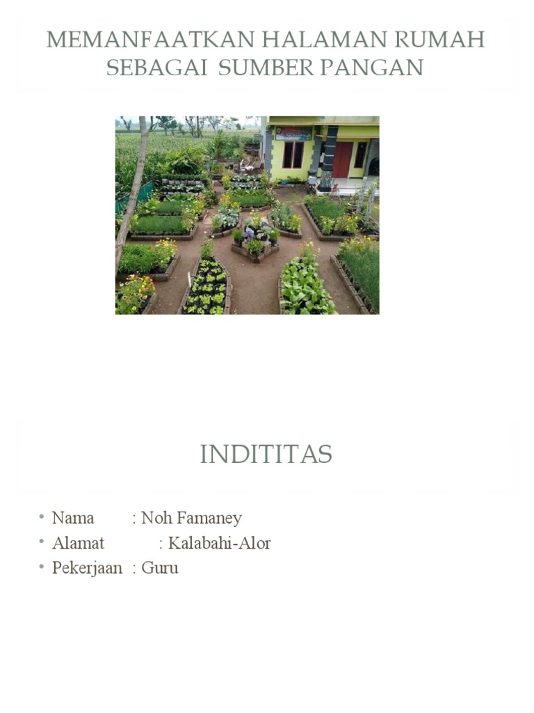Tanaman Pangan di Halaman Rumah | PDF