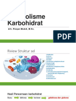 METABOLISME KARBOHIDRAT