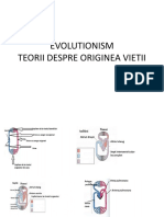 EVOLUTIONISM-INTRODUCERE