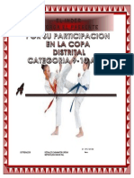 Copa Distrital Participacion PDF