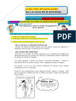 5° FICHA DIA 04 - C y T - Clasificamos Los Niveles de Organización de Los Seres Vivos Presenciales