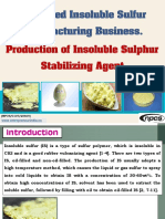 Stabilized Insoluble Sulfur Manufacturing Business PDF