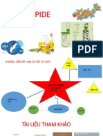 Lipide PDF