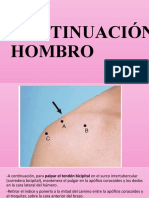 Continuación Hombro