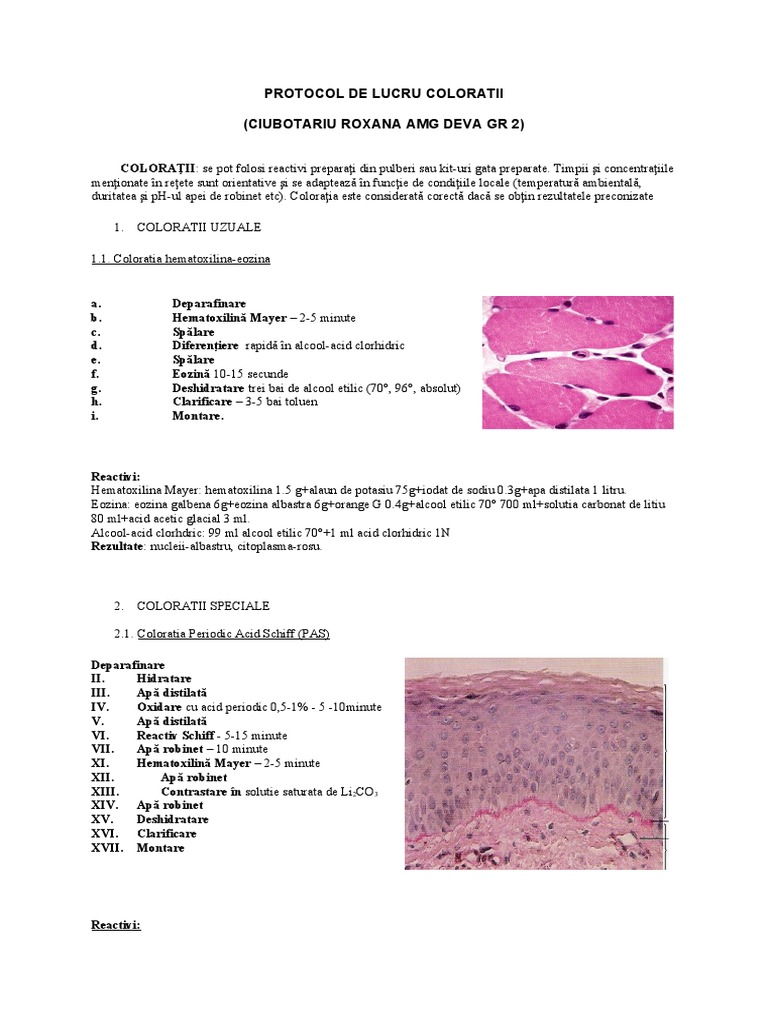Coloratii | PDF