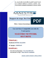 Rapport de Stage MNS PDF