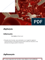 Aula 2 - Patologia Da Inflamação PDF