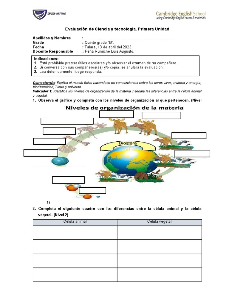 Evaluación de Ciencia y Tecnología 5to Grado | PDF | Ciencia y matemáticas