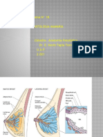 N° 18 Patologia Mamaria