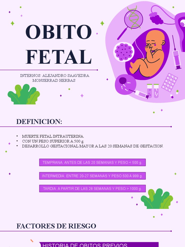 Óbito fetal: causas y maceración | PDF | El embarazo | Feto