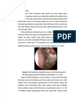 PDF Fungus Ball - Compress