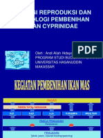 Pembenihan Ikan Mas