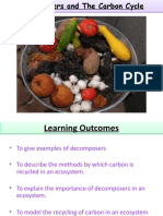 Decomposers 