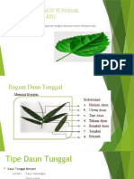 Daun Tunggal