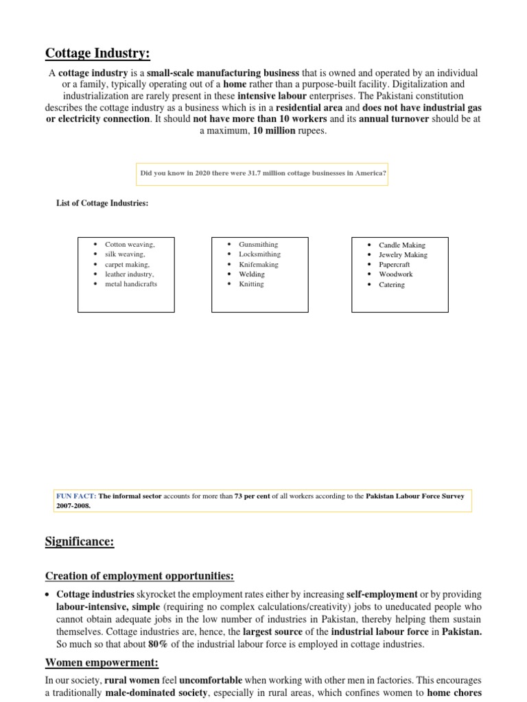 WHAT IS COTTAGE INDUSTRY ANSWER visual data 2