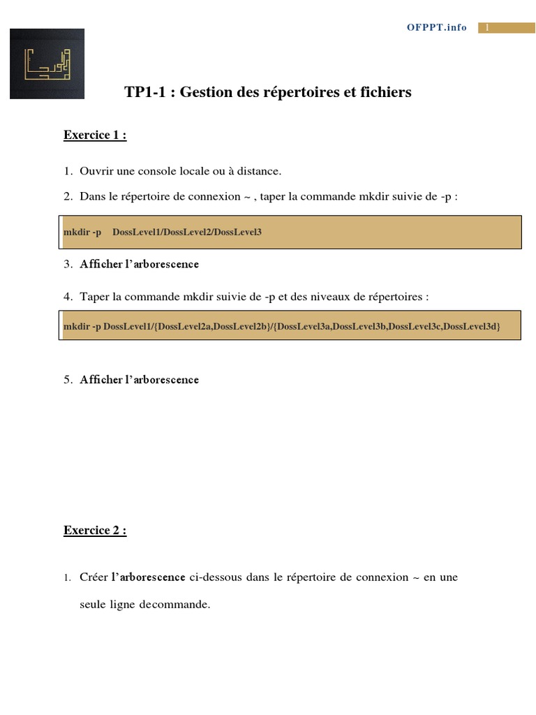 TP1 1 | PDF | Ordinateurs