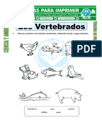 Ficha-de-Los-Vertebrados-para-Tercero-de-Primaria